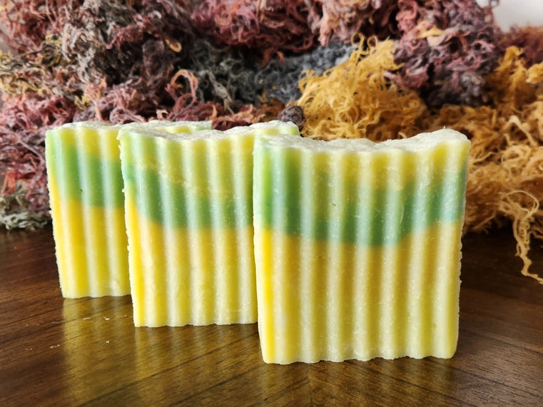 Sea Moss & Virgin Olive Oil & Honey & Organic Coconut Soap