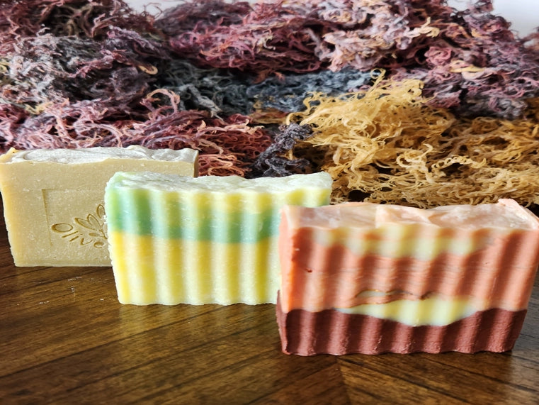 Sea Moss & Virgin Olive Oil & Honey & Organic Coconut Soap